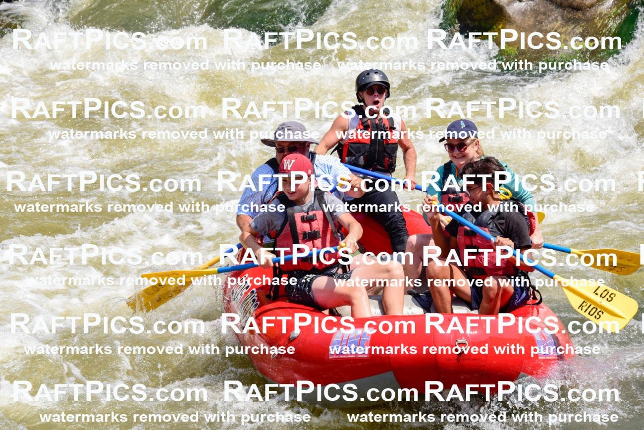 006051_July-25_Los-Rios_RAFTPICS_Racecourse-AM_LABlair