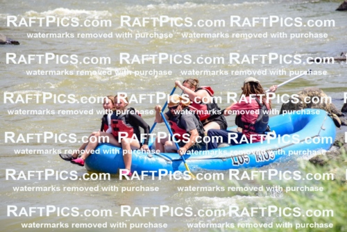 006096_July-25_Los-Rios_RAFTPICS_Racecourse-AM_LABrodie