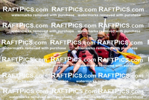 006104_July-25_Los-Rios_RAFTPICS_Racecourse-AM_LABrodie