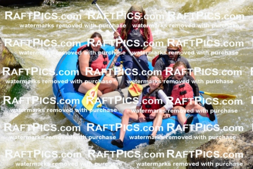 006114_July-25_Los-Rios_RAFTPICS_Racecourse-AM_LABrodie