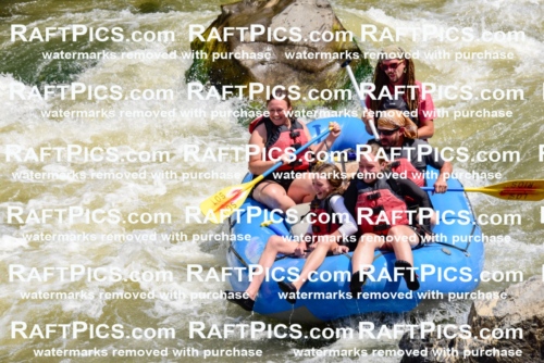 006121_July-25_Los-Rios_RAFTPICS_Racecourse-AM_LABrodie