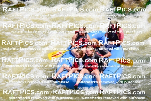 006125_July-25_Los-Rios_RAFTPICS_Racecourse-AM_LABrodie