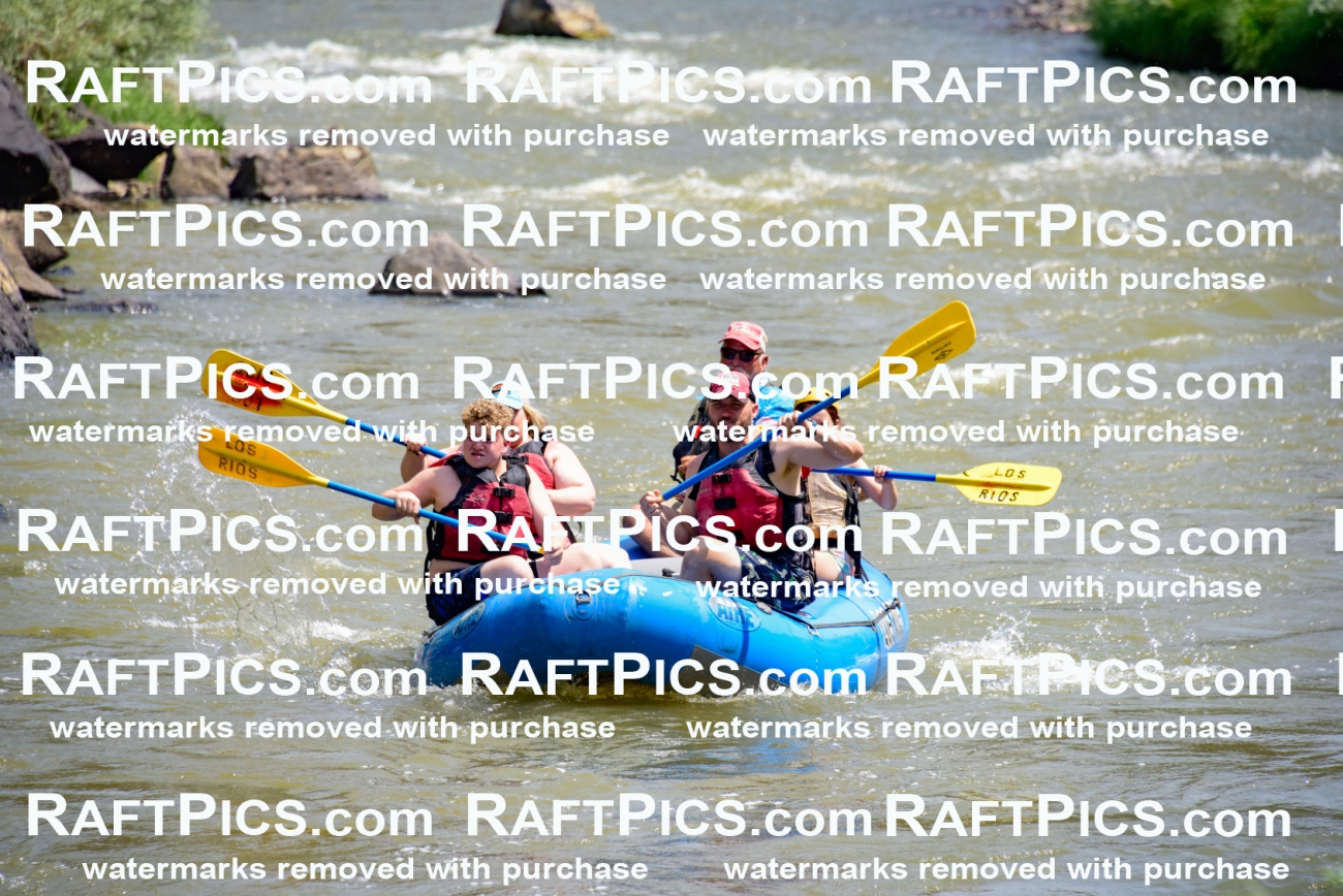 006137_July-25_Los-Rios_RAFTPICS_Racecourse-AM_LAJohn