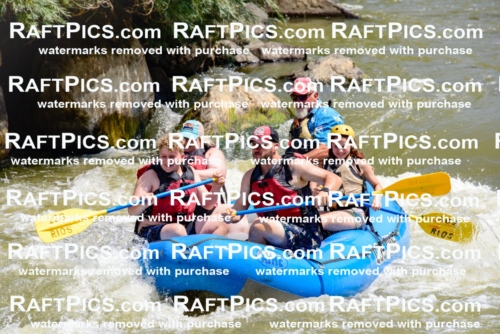 006149_July-25_Los-Rios_RAFTPICS_Racecourse-AM_LAJohn