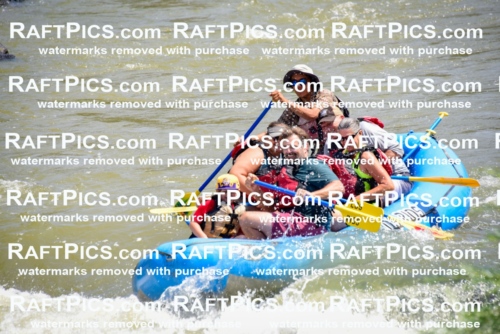 006213_July-25_Los-Rios_RAFTPICS_Racecourse-AM_LARaul