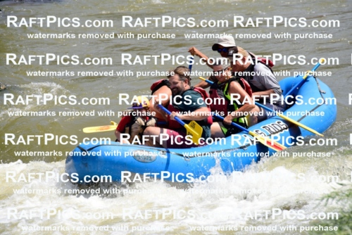 006215_July-25_Los-Rios_RAFTPICS_Racecourse-AM_LARaul