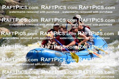 006216_July-25_Los-Rios_RAFTPICS_Racecourse-AM_LARaul