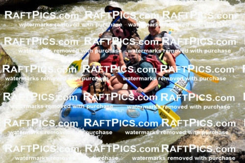 006222_July-25_Los-Rios_RAFTPICS_Racecourse-AM_LARaul