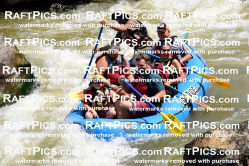 006223_July-25_Los-Rios_RAFTPICS_Racecourse-AM_LARaul