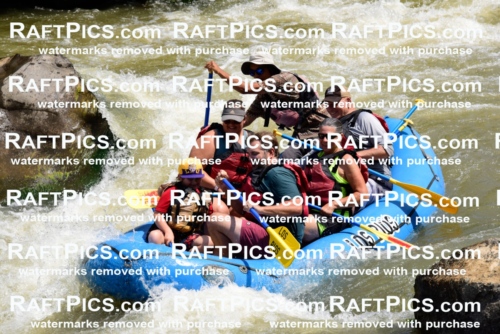 006225_July-25_Los-Rios_RAFTPICS_Racecourse-AM_LARaul