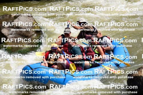 006226_July-25_Los-Rios_RAFTPICS_Racecourse-AM_LARaul