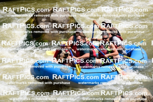 006227_July-25_Los-Rios_RAFTPICS_Racecourse-AM_LARaul