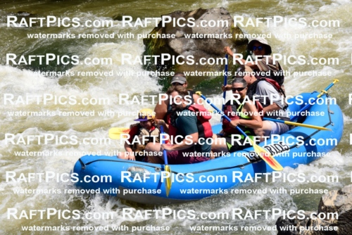 006228_July-25_Los-Rios_RAFTPICS_Racecourse-AM_LARaul