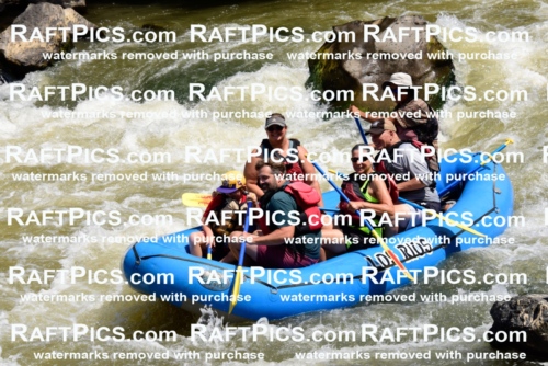 006229_July-25_Los-Rios_RAFTPICS_Racecourse-AM_LARaul