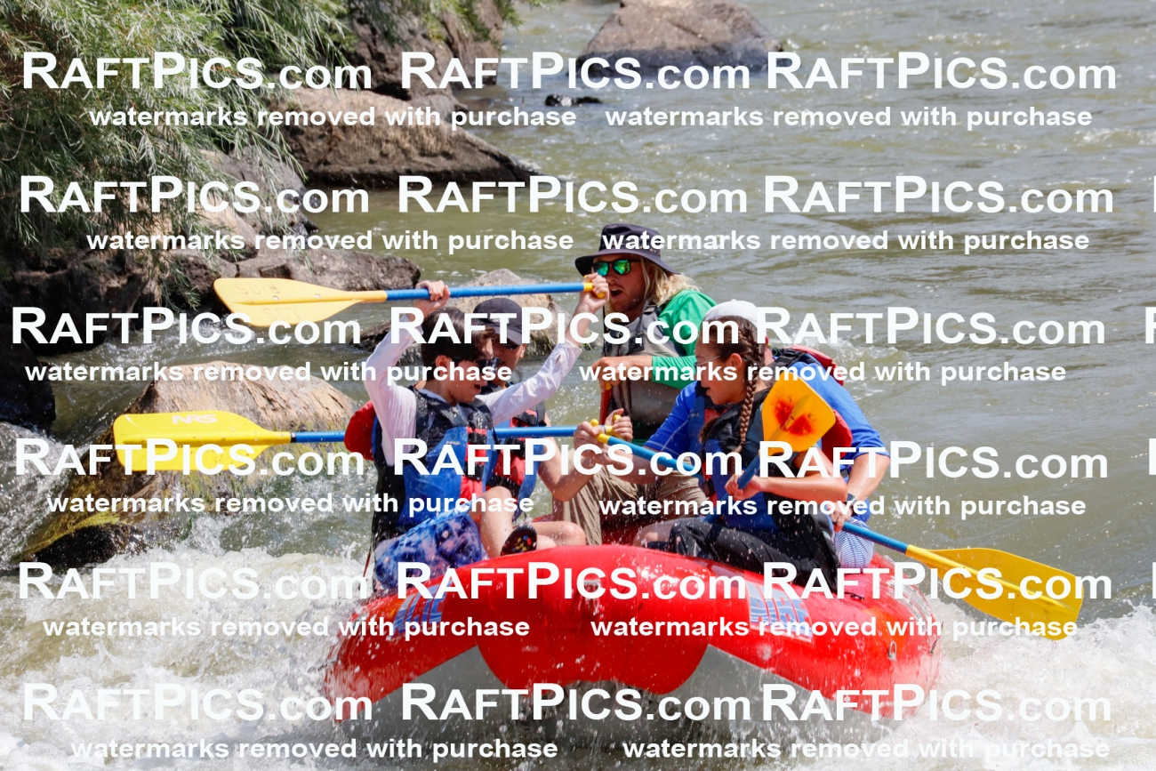 006239_July-25_Los-Rios_RAFTPICS_Racecourse-AM-Full-day-_SWZack