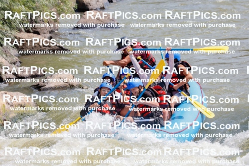 006260_July-25_New-Wave_RAFTPICS_Racecourse-AM_SWElias