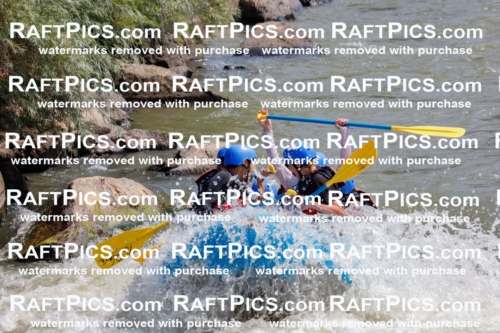 006262_July-25_New-Wave_RAFTPICS_Racecourse-AM_SWElias