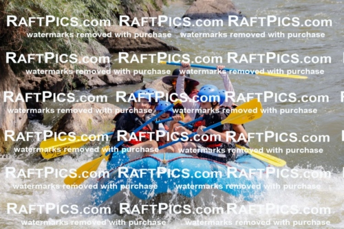 006263_July-25_New-Wave_RAFTPICS_Racecourse-AM_SWElias