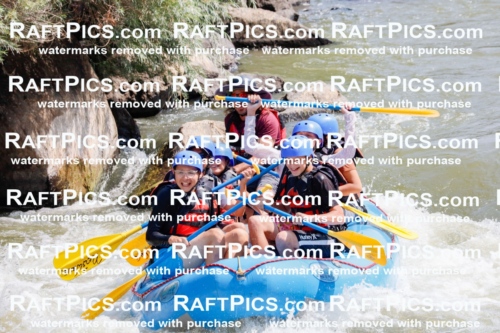 006264_July-25_New-Wave_RAFTPICS_Racecourse-AM_SWElias