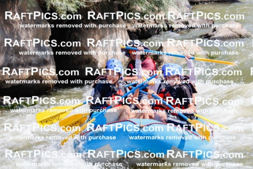 006265_July-25_New-Wave_RAFTPICS_Racecourse-AM_SWElias