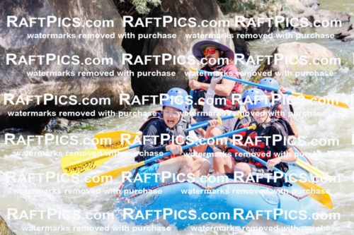 006266_July-25_New-Wave_RAFTPICS_Racecourse-AM_SWElias