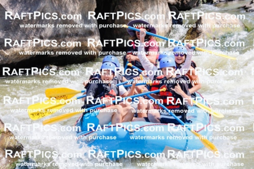 006267_July-25_New-Wave_RAFTPICS_Racecourse-AM_SWElias