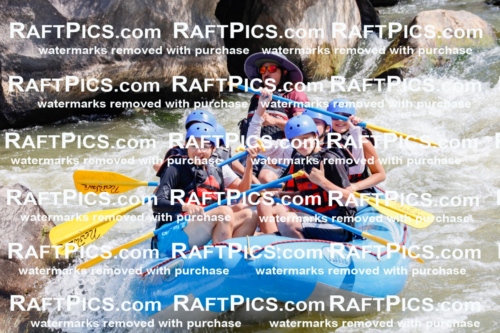 006268_July-25_New-Wave_RAFTPICS_Racecourse-AM_SWElias