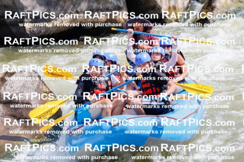 006269_July-25_New-Wave_RAFTPICS_Racecourse-AM_SWElias