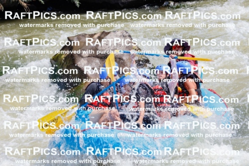 006272_July-25_New-Wave_RAFTPICS_Racecourse-AM_SWElias