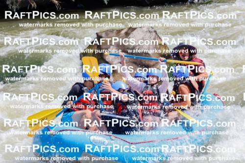 006273_July-25_New-Wave_RAFTPICS_Racecourse-AM_SWElias