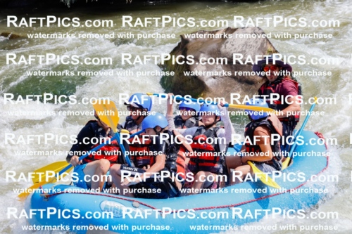 006274_July-25_New-Wave_RAFTPICS_Racecourse-AM_SWElias