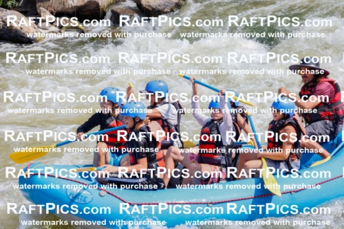 006277_July-25_New-Wave_RAFTPICS_Racecourse-AM_SWElias