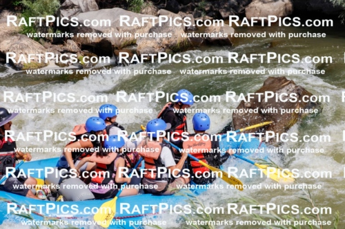 006278_July-25_New-Wave_RAFTPICS_Racecourse-AM_SWElias