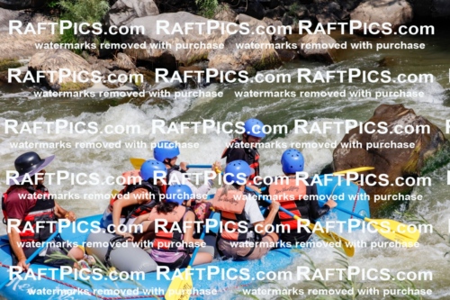 006279_July-25_New-Wave_RAFTPICS_Racecourse-AM_SWElias