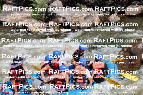 006280_July-25_New-Wave_RAFTPICS_Racecourse-AM_SWElias