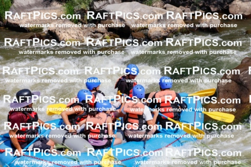 006281_July-25_New-Wave_RAFTPICS_Racecourse-AM_SWElias