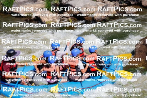 006282_July-25_New-Wave_RAFTPICS_Racecourse-AM_SWElias