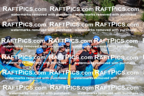 006284_July-25_New-Wave_RAFTPICS_Racecourse-AM_SWElias