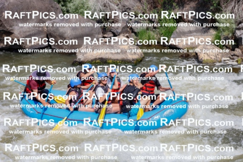 006285_July-25_New-Wave_RAFTPICS_Racecourse-AM_SWElias