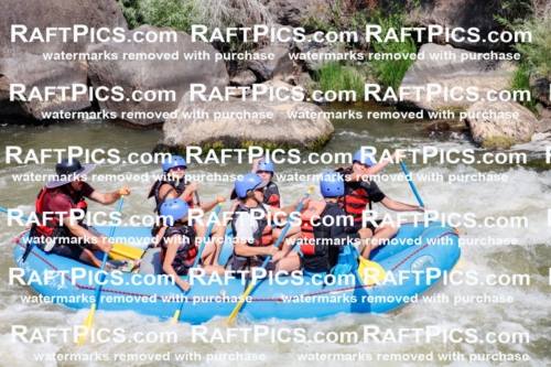 006286_July-25_New-Wave_RAFTPICS_Racecourse-AM_SWElias