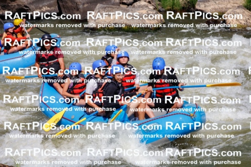 006288_July-25_New-Wave_RAFTPICS_Racecourse-AM_SWElias