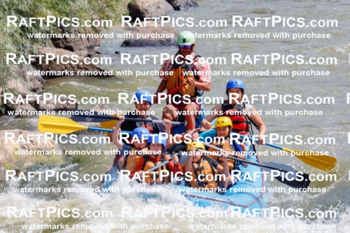 006294_July-25_New-Wave_RAFTPICS_Racecourse-AM_SWOrlando