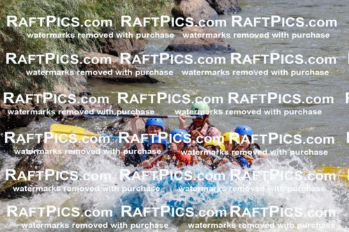 006295_July-25_New-Wave_RAFTPICS_Racecourse-AM_SWOrlando