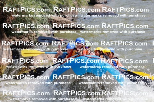 006296_July-25_New-Wave_RAFTPICS_Racecourse-AM_SWOrlando