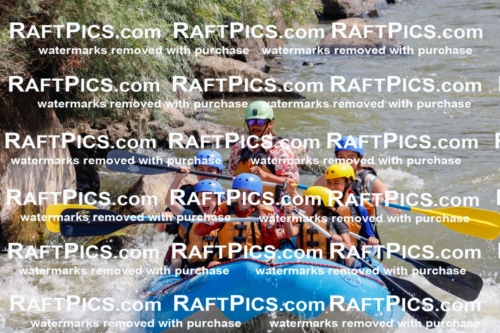 006297_July-25_New-Wave_RAFTPICS_Racecourse-AM_SWOrlando