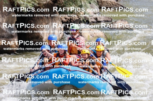 006300_July-25_New-Wave_RAFTPICS_Racecourse-AM_SWOrlando