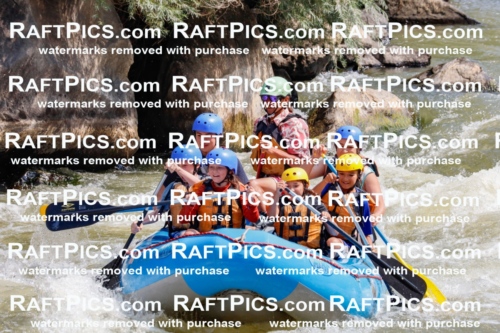 006301_July-25_New-Wave_RAFTPICS_Racecourse-AM_SWOrlando