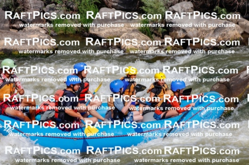 006311_July-25_New-Wave_RAFTPICS_Racecourse-AM_SWOrlando