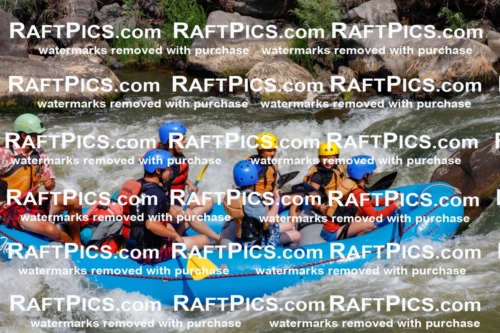 006312_July-25_New-Wave_RAFTPICS_Racecourse-AM_SWOrlando