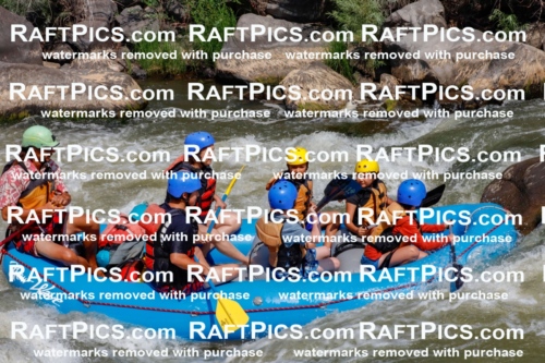 006313_July-25_New-Wave_RAFTPICS_Racecourse-AM_SWOrlando